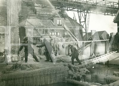 Brand bij Boon aan het Zuideinde 1933. Op de foto is ook te zien de boerderij van Kaal
Trefwoorden: Brand Boon Zuideinde 1933 boerderij Kaal